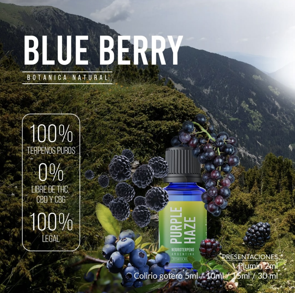 blue berry