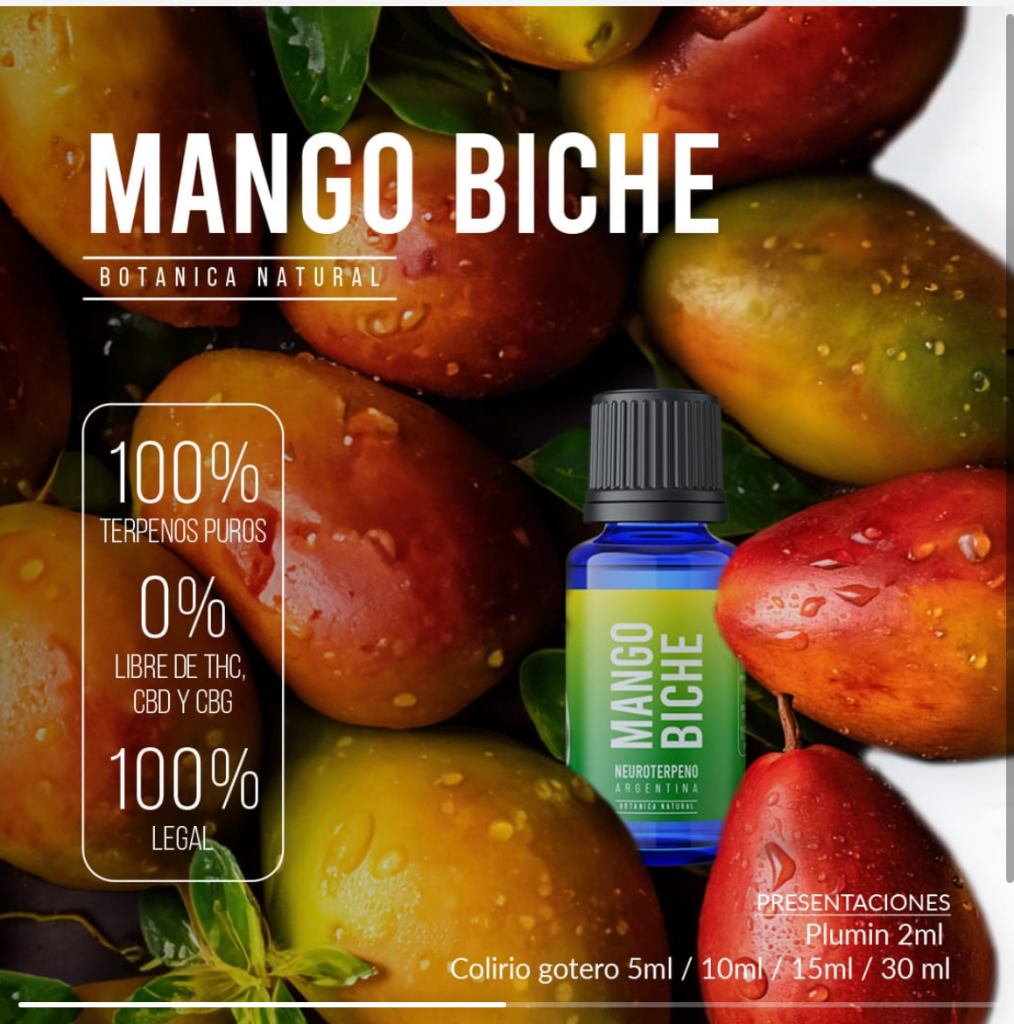 mango biche